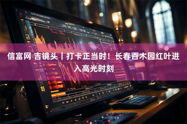 信富网 吉镜头｜打卡正当时！长春百木园红叶进入高光时刻