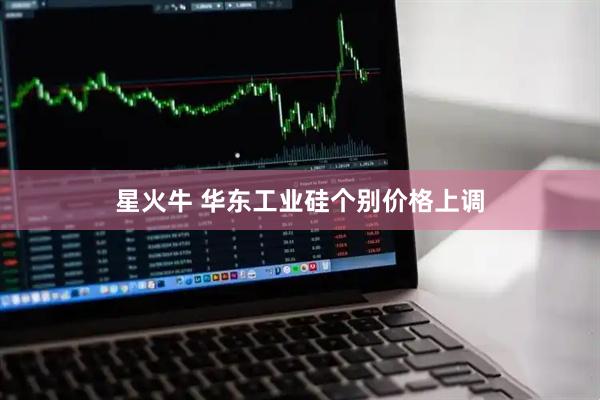 星火牛 华东工业硅个别价格上调