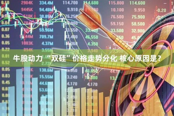牛股动力 “双硅”价格走势分化 核心原因是？